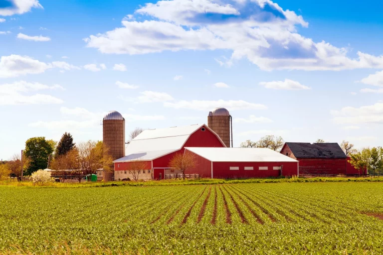Farm Insurance in Auburn, MI, Bay City, MI, Midland, MI, Oscoda, MI, Saginaw, MI, Tawas City, MI