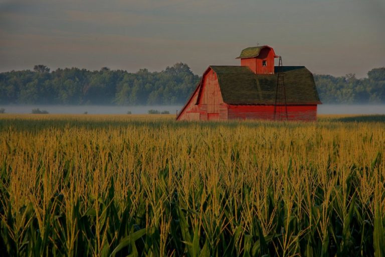 red barn in field of wheat with Farm Insurance in Bay City, Midland, Oscoda, Saginaw, and Tawas City
