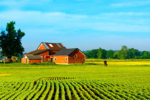 Farm and fields in Midland, MI with farm insurance