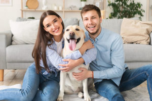 Home and renters insurance in Oscoda, MI, with dog